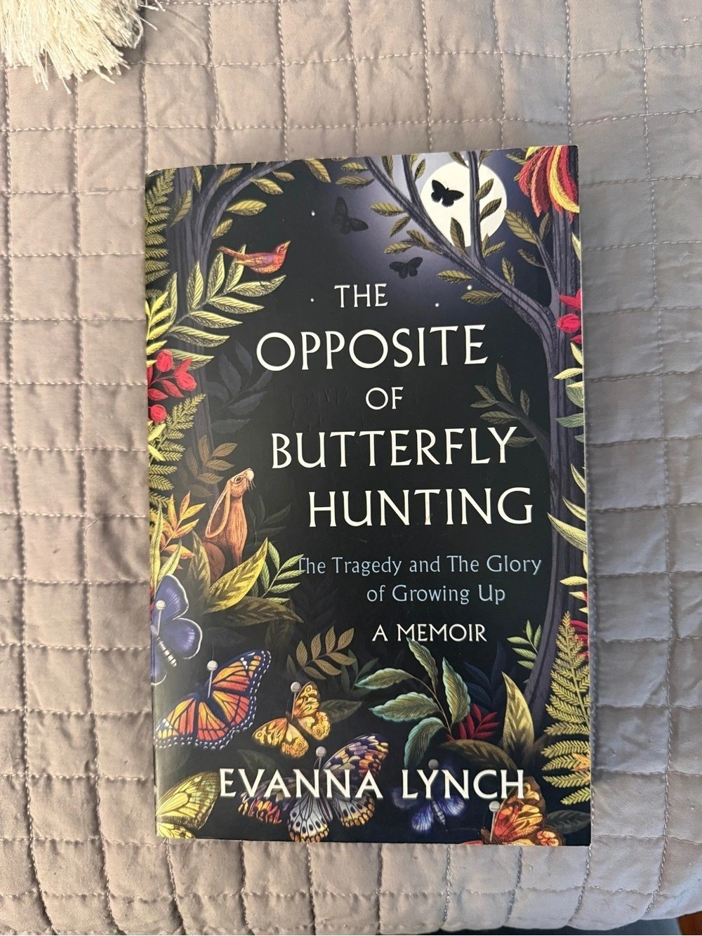 The Opposite of Butterfly Hunting: The Tragedy and the Glory of growing up